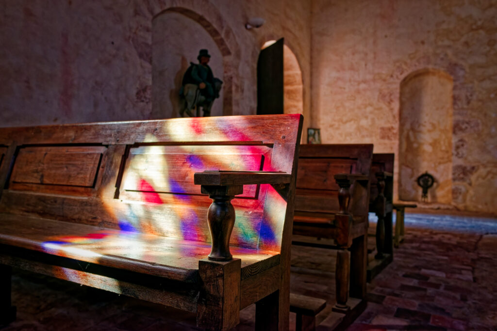 DSC 3667 DxO 1024x683