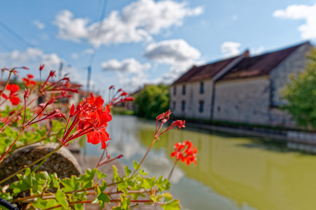 Crafting Captivating Headlines: Your awesome post title goes here