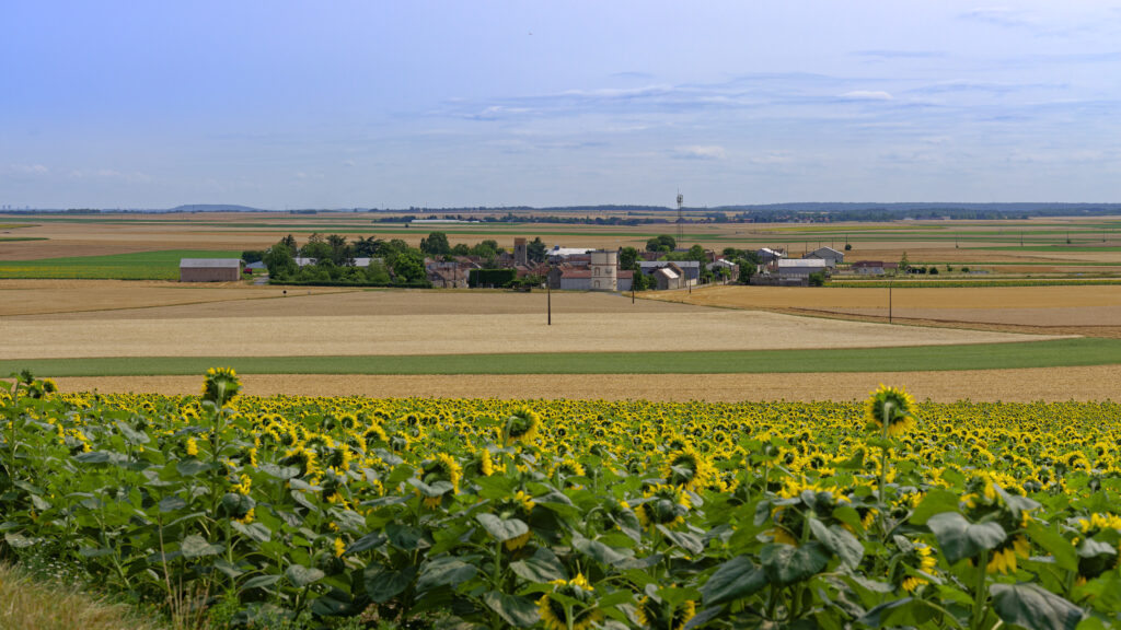 DSF3668 DxO 1024x576